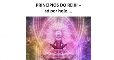 PRINCÍPIOS DO REIKI – só por hoje....