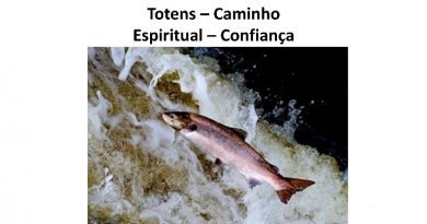 Totens – Caminho Espiritual – Confiança