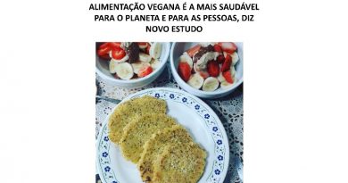 ALIMENTAÇÃO VEGANA É A MAIS SAUDÁVEL PARA O PLANETA E PARA AS PESSOAS, DIZ NOVO ESTUDO