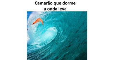 Camarão que dorme a onda leva