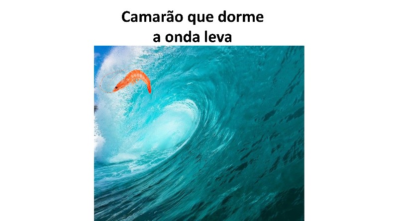 Camarão que dorme a onda leva