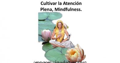 Cultivar la Atención Plena, Mindfulness.