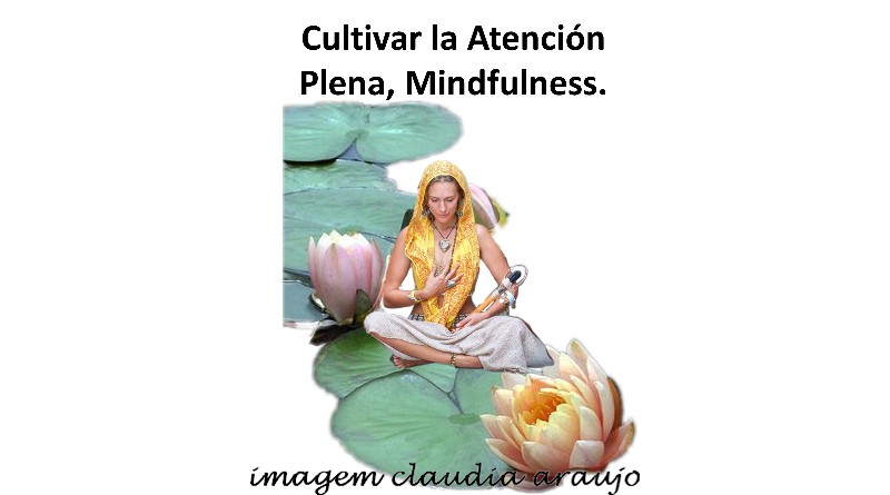 Cultivar la Atención Plena, Mindfulness.