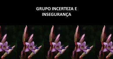 GRUPO INCERTEZA E INSEGURANÇA