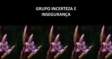 GRUPO INCERTEZA E INSEGURANÇA