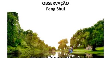 OBSERVAÇÃO - Feng Shui
