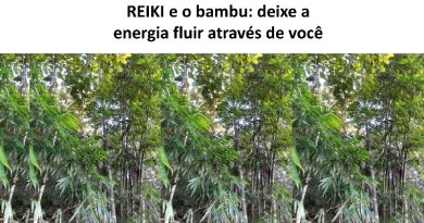 REIKI e o bambu: deixe a energia fluir através de você