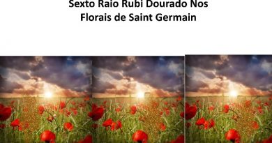 Sexto Raio Rubi Dourado Nos Florais de Saint Germain