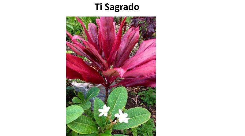 Ti Sagrado