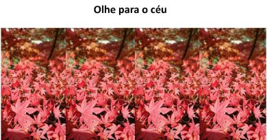 Olhe para o céu