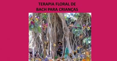 TERAPIA FLORAL DE BACH PARA CRIANÇAS