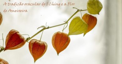 A tradição oracular do I Ching e a Flor de Ameixeira