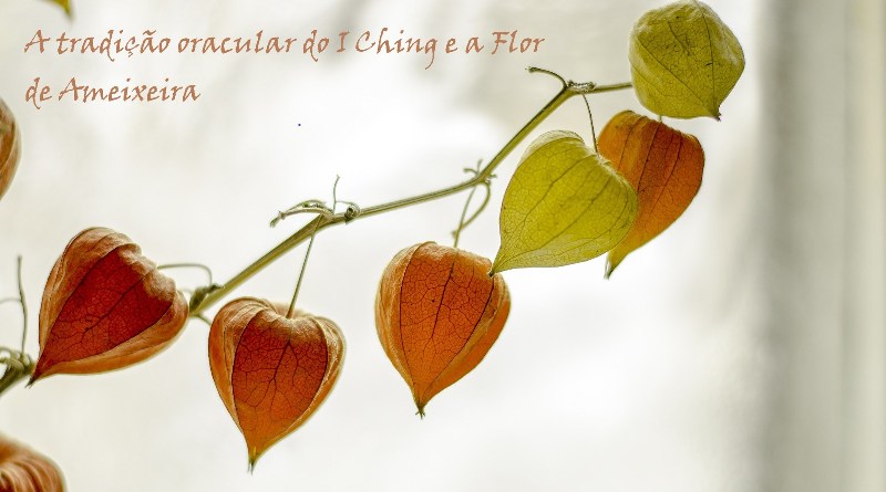 A tradição oracular do I Ching e a Flor de Ameixeira