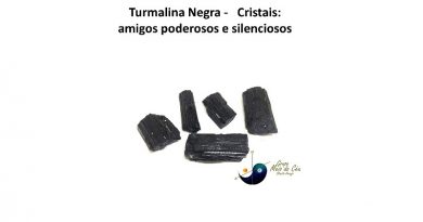 Turmalina Negra - Cristais: amigos poderosos e silenciosos