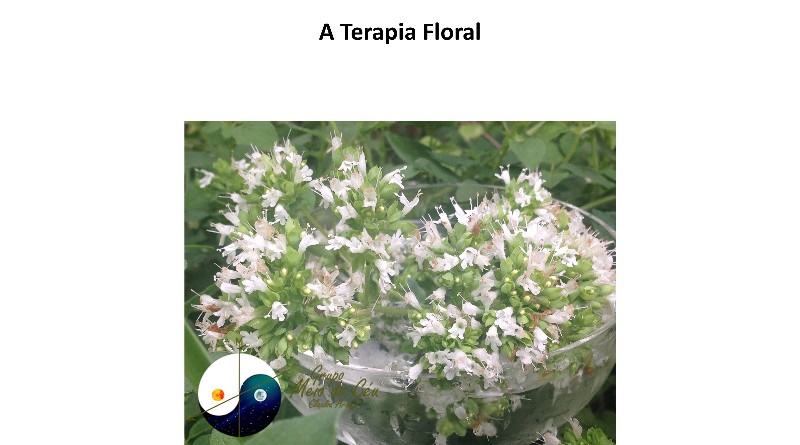A Terapia Floral