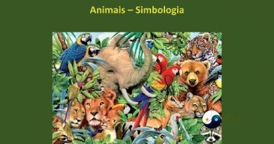 Animais – Simbologia