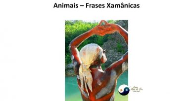 Animais – Frases Xamânicas