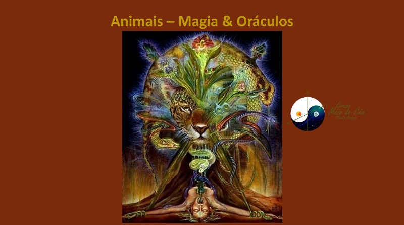 Animais – Magia & Oráculos