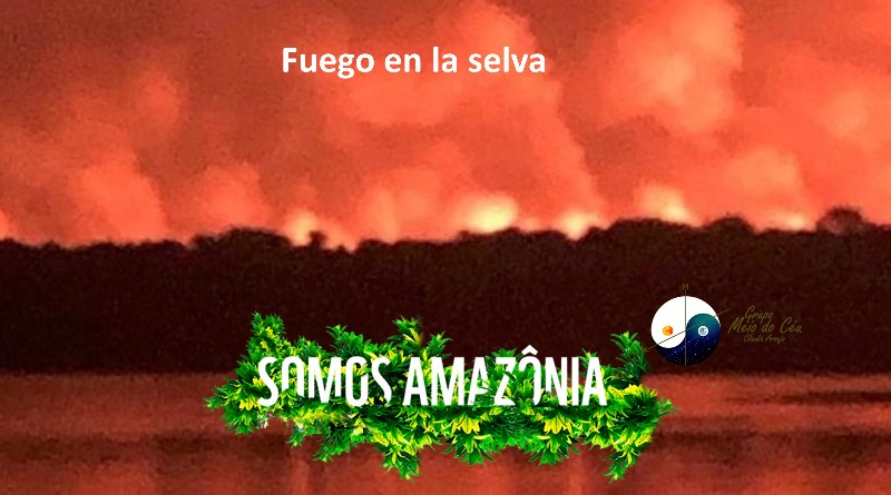 Fuego en la selva