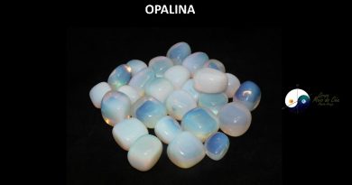 OPALINA