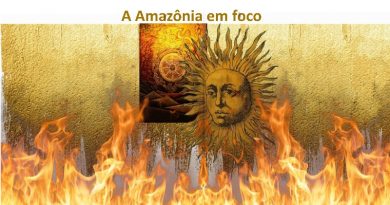 A Amazônia em foco