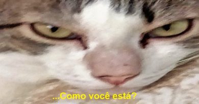Caso Martin – Às vezes a história se repete