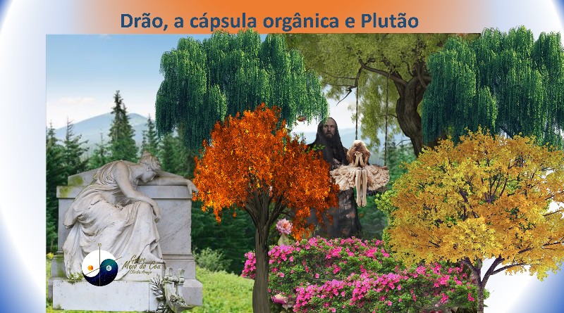 Drão, a cápsula orgânica e Plutão