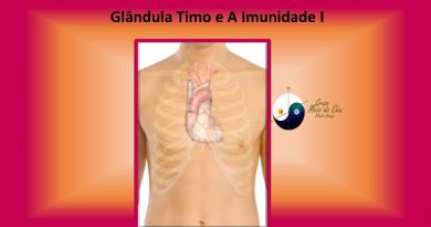 Glândula Timo e A Imunidade I