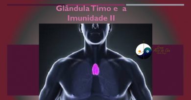 Glândula Timo e A Imunidade II