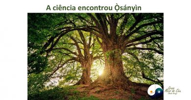 A ciência encontrou Ọ̀sányìn