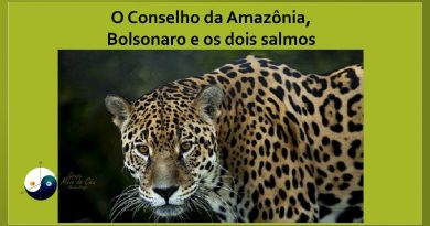 O Conselho da Amazônia, Bolsonaro e os dois salmos