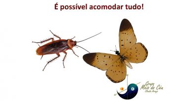 É possível acomodar tudo!
