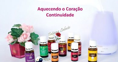 Aquecendo o Coração - Continuidade